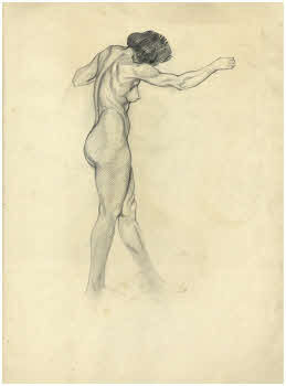 Visualizza l'immagine "FD Album 11, 13 v."